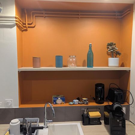 Bienvenue Chez Ed Apartment Villeurbanne Exterior foto